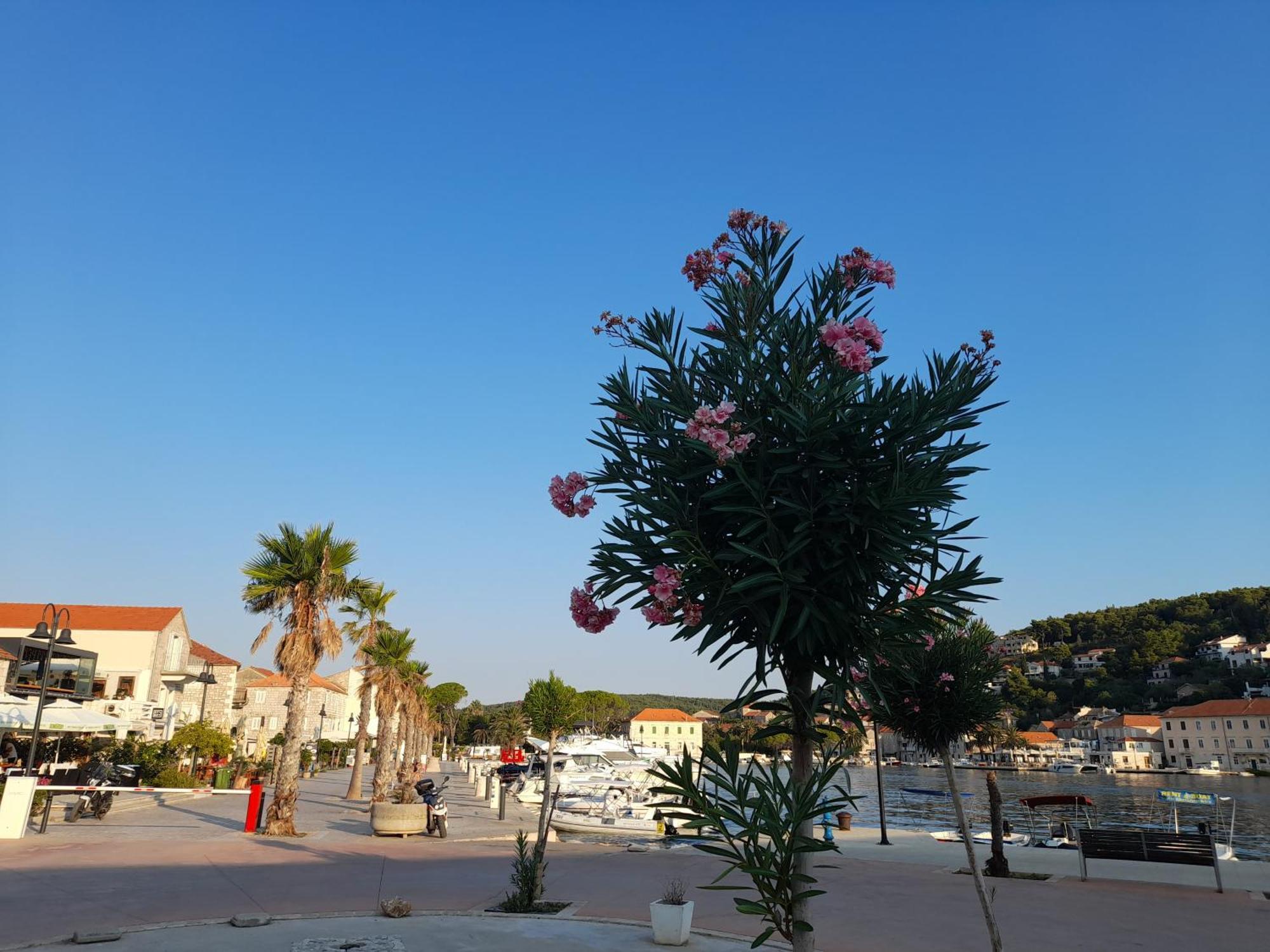 Hvar Architect'S House Pitve Bagian luar foto