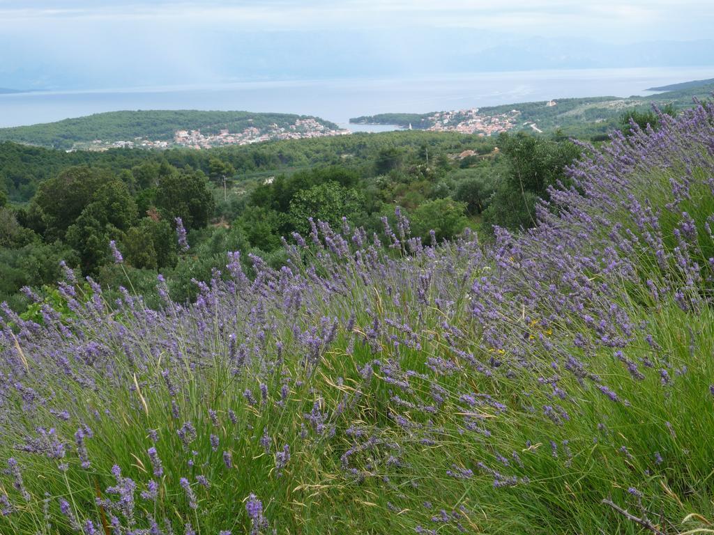 Hvar Architect'S House Pitve Bagian luar foto